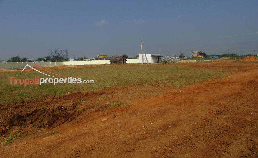 Plots for Sale Near Chadalawada College Renigunta Road, Tirupati